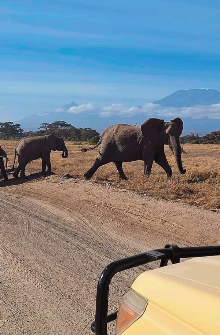 Amboseli
